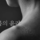 코끼리들이 웃는다 티스토리