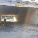 상석 농장 이미지