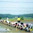 대순진리회 이미지