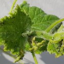 한주경로당 이미지