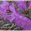 나의살던고향민박 이미지