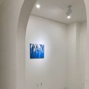 프로젝트케이 이미지