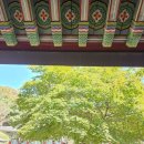 색소폰(기초) | 🌿 무등산무돌길협의회 창립 10주년 &amp; 무돌길 개통 15주년 기념행사 후기