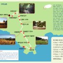 제주올레길