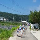 서상농장 이미지