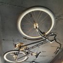 이태리광수 이미지