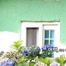 인디팝_현대시선 밴드, 카카오스토리_5월의 선정시_여백_작사 전문구_작 편곡 수노_영상편집 윤기영 이미지