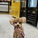 반자주 진해점 이미지