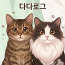 그레이핍플금곡점