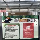 스타링포스 - 구로구 새말로 97 | 가평 가볼만한 곳 | 40여 종의 새들이 곁을 지나가는 이국적인 힐링 스팟 • 가평베고니아새정원