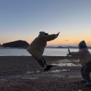 명성캠핑장 | [서산벌천포캠핑장] 리랑이 다녀온 서해 오션뷰 한옥 글램핑 겨울방문후기