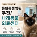 나래동물의료센터 | 동탄동물병원 추천, 노묘도 안심하고 다니는 나래동물의료센터 후기
