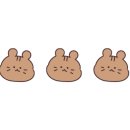 칸차이나 이미지