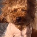 우애목장 | [나트랑] 선라이즈 판랑사막투어로 시작하는 나짱