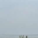 바람의마을 손칼국수 이미지