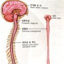 그림이 오감을 만났을때- 감각주의 르누아르 | 四字成語 총정리 &lt;ㄱ&gt; 160 감각적묘사~감공수지