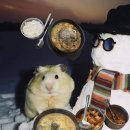 강창구찹쌀진순대 | 그래서 뜨끈~한 국밥 먹으러 다녀왔다! 남양주 국밥 맛집 — 강창구 찹쌀 진순대 화도점!!(솔직후기)