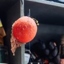 삼춘세탁소 이미지