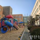 신양초병설유치원 이미지