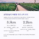 순천만 힐링 이미지