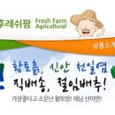 후레쉬팜 이미지