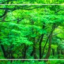 산행 / 靑山 손병흥 이미지