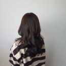 수정카크리닉 이미지