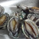 주식회사수인약품 이미지