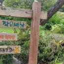 꼼지의 작은세상 이미지