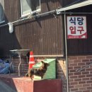 금산식당 | 금산 월영산 출렁다리 맛집 원골식당 어죽 도리뱅뱅이 후기