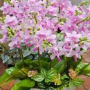 예림화원 이미지