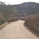 강남-113 이미지