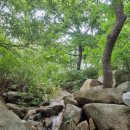 봉암식당 이미지