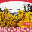 무지개공원2 이미지