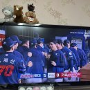 세븐일레븐 대전신성스타점 | 롯데 랜덤 띠부씰 교환 plz / 롯데자이언츠 마! 거인단팥빵 / 자이언츠 피카츄 냐냐 / 마! 씨앗호떡빵...