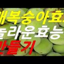개복숭아 효소 효능 먹는법 수확 시기 이미지
