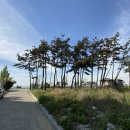 춘장대여기 이미지