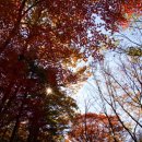 별의계곡 이미지