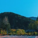 대구체육공원 이미지