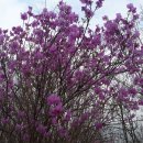 소호초등학교 이미지