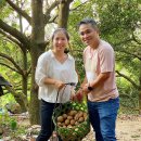 사포농장 이미지