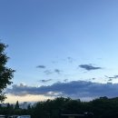 제이에스 크루 이미지