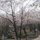 선포약수터 이미지