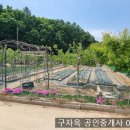 찐 놀이터 정원인지 텃밭인지 송해면 양오리 농막 114평,1억3500만원,강화도주말농장 이미지