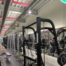 몰리짐 장기점 이미지