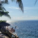 스쿠바민박 | 아고다 무료취소 불가 상품 환불한 후기!!! (26년 3월)