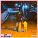 군위 장곡자연휴양림 대가족 숙소 산림생태체험관 3호 1박2일 숙박 후기