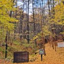 봉학골산림욕장 이미지