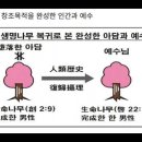 요약 훈독 차트 3시간용 이미지