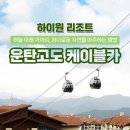 둥실둥실 | 정선 하이원리조트 운탄고도 케이블카 공짜 탑승 솔직 후기! (무료, 가격, 할인, 운영시간, 꿀팁 총정리)
